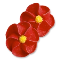 100 pz Papaveri rossi