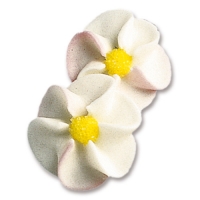 100 pz Fiori di melo