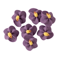 200 pz Violette di zucchero