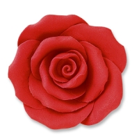 24 pz Rose rosse, grandi