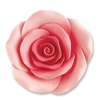 24 pz Rose grandi rosa