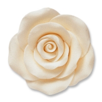 24 pz Rose bianche grandi