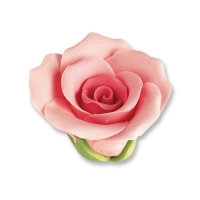30 pz Rose medie rosa