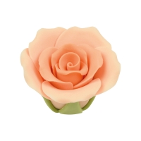 30 pz Rose color salmone medie