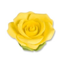 30 pz Rose gialle medie