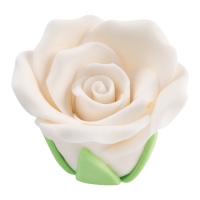 30 pz Rose bianche medie