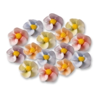 125 pz Fiori di melo di zucch.