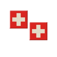 48 pz Placca  Svizzera  pasta di zucchero