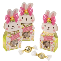 12 pz Scatola regalo, Coniglietto Pasqua