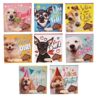 16 pz Scatole Cani, assortiti