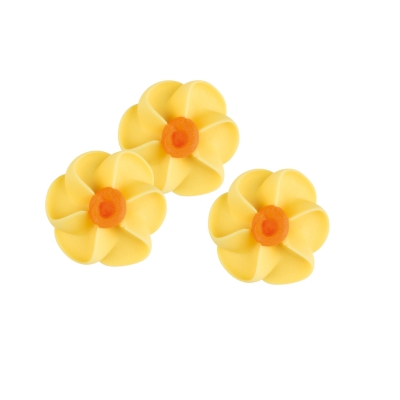 100 pz Narcisi gialli di zucch. 