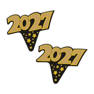 100 pz Emblemi  2026 in cartone 